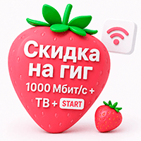 Логотип статьи: Скидка на гиг