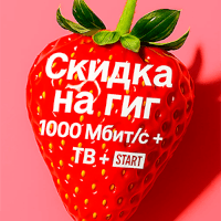Логотип статьи: Скидка на гиг