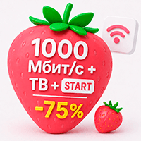 Логотип статьи: Скидка на гиг